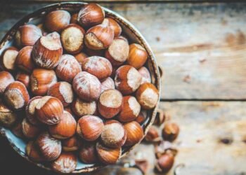 hazelnuts