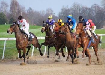 Sporting Heroes Gracing the Sport of Racing Today