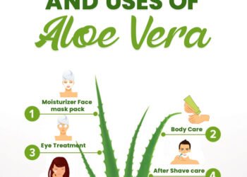 Benefits and Uses Of Aloe Vera
