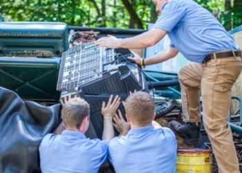 Professional Junk Removal Service