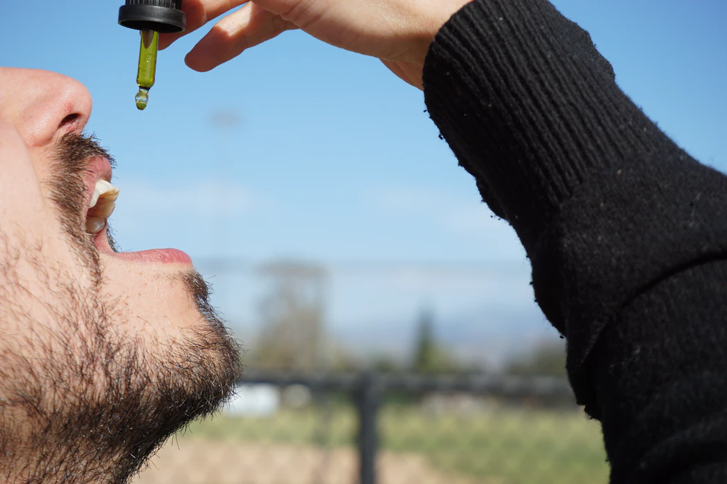 3 Reasons why CBD oil is your perfect companion