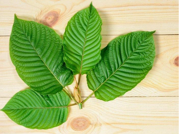 How to get Kratom at the best price online