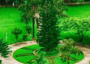 Things To Check Out Before Visiting Recreational Parks