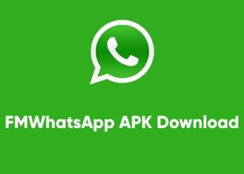 FM WhatsApp: One-stop destination for hassle-free access to Whatsapp features