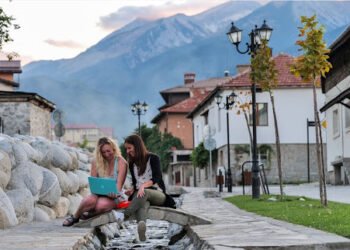 Freelancer or Digital Nomad