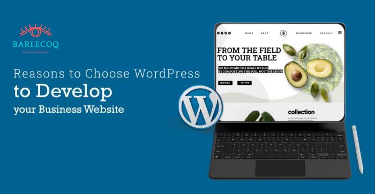 Develop your Business Website