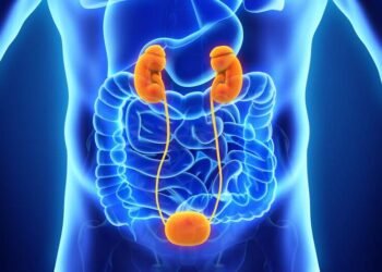 Things to Know About Intravenous Pyelogram