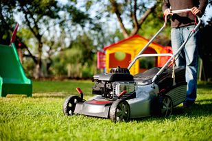 Ultimate Guide for Maintain your Lawn