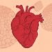 Heart Disease: All You Should Know About It