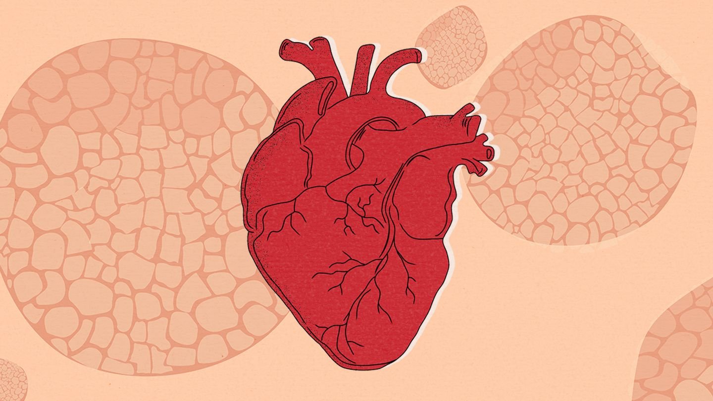 Heart Disease: All You Should Know About It