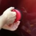 Top Tips to Choose Dent Repair Gaithersburg Service