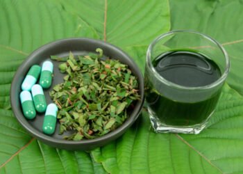 Kratom in Delaware: Kratom or Coffee – What to Choose?