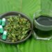 Kratom in Delaware: Kratom or Coffee – What to Choose?