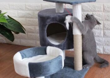 The Ultimate Cat Tree House For Large Cats