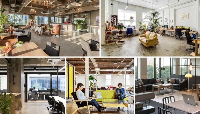 Coworking Space: A Hot Spot For Networking, Innovation and Productivity