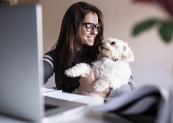 Advantages of Purchasing Pet Supplies Online and the Most Popular Products￼