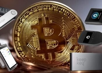 Do You Need a Crypto Wallet to Keep Your Investment Safe?