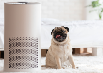 best air purifiers for wildfire smoke