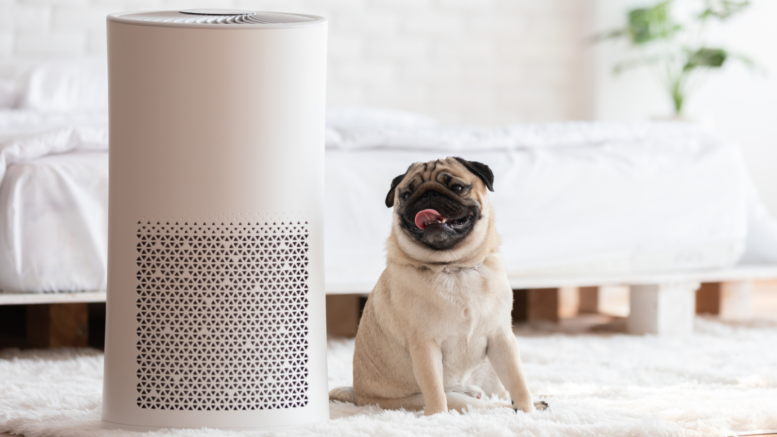 best air purifiers for wildfire smoke