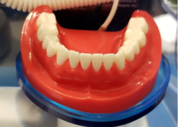 regular dentist checkups