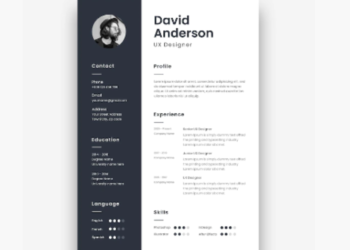 Three FAQs About Professional Resume