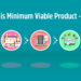 What is Minimum Viable Product
