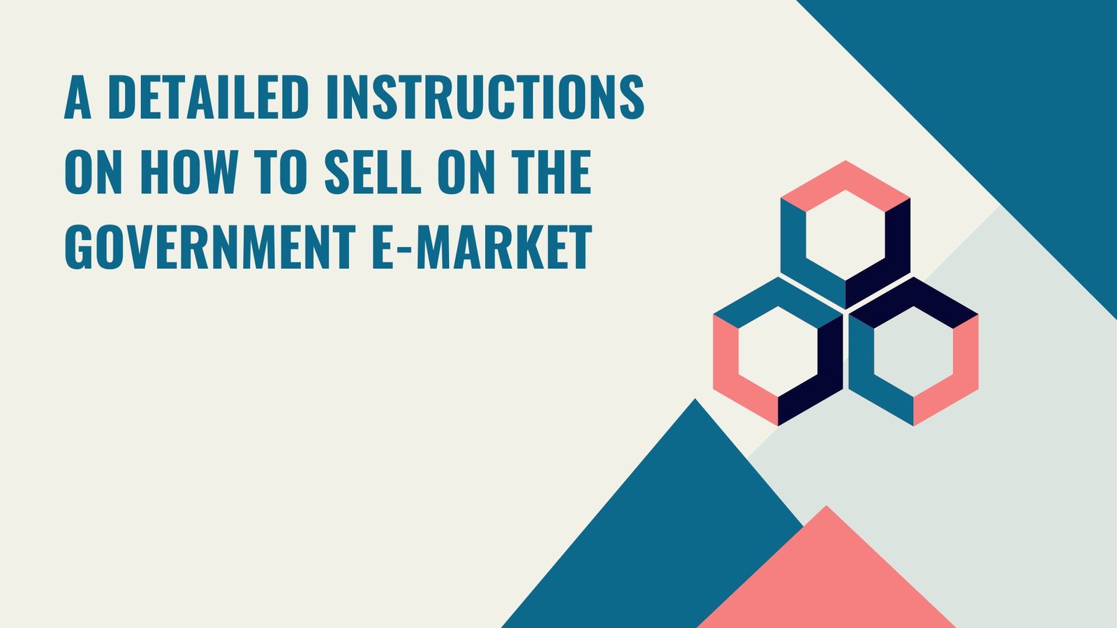 A Detailed instructions on how to sell on the Government e-Market