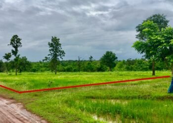 Low-Cost Living: The Rise Of Container Homes In Thailand