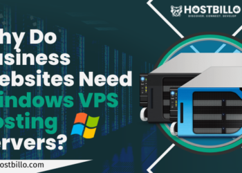 Why Do Business Websites Need Windows VPS Hosting Servers?
