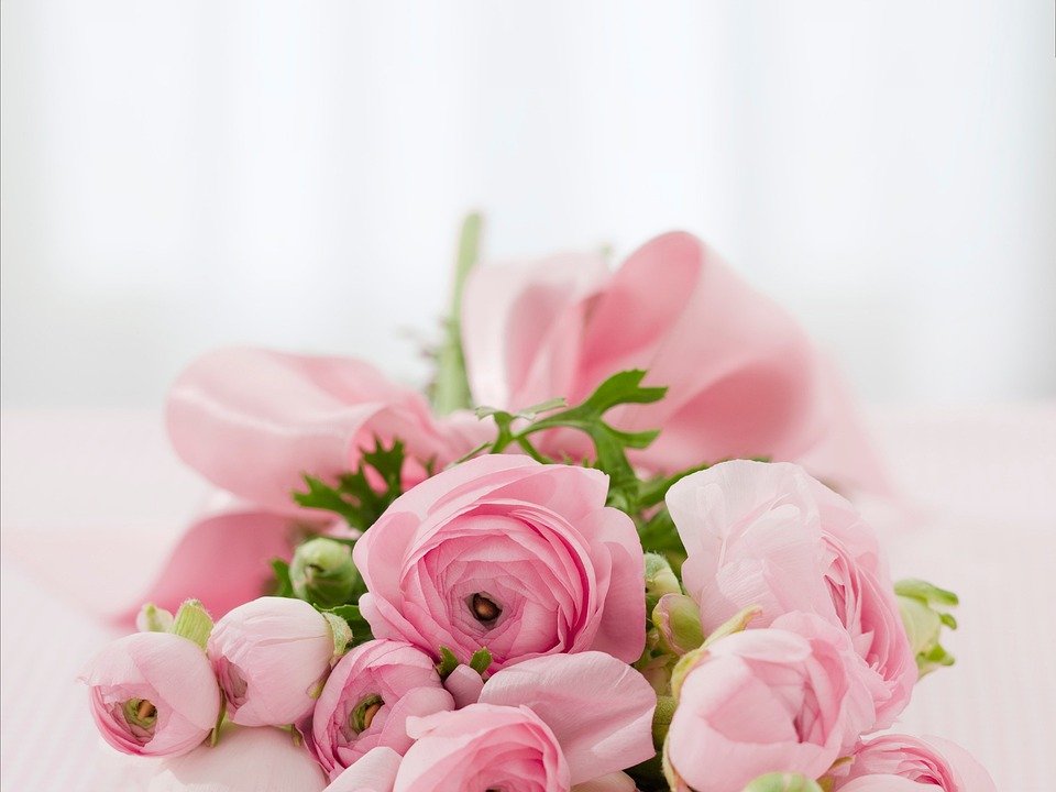Beautiful Flowers online