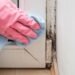 damp and mould in your rental property