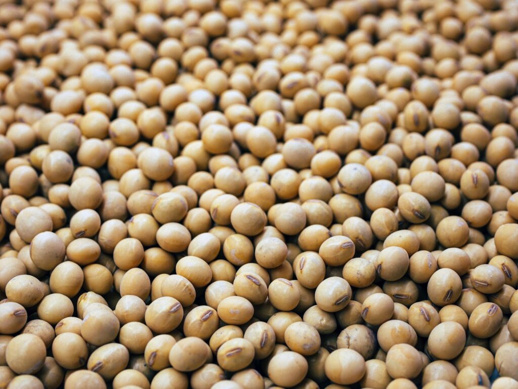 How Did Soy Become the World's Top Cultivated Crop