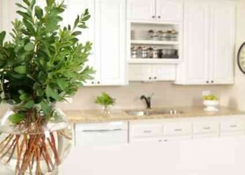 Living A Clutter-Free Life