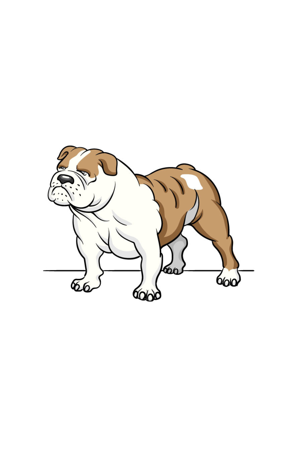 How to draw a bulldog