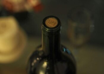 Bottle-to-Business Blueprint